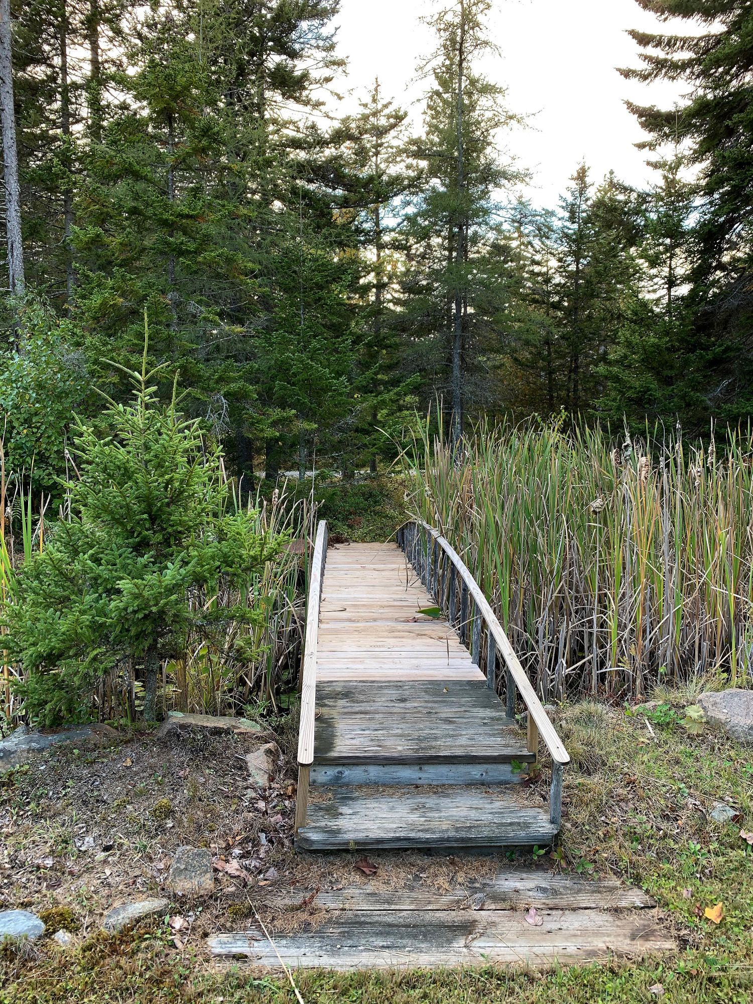 119 Kelleytown Road Bernard, ME 04612 - Photo 25 of 50 119 Kelleytown_019