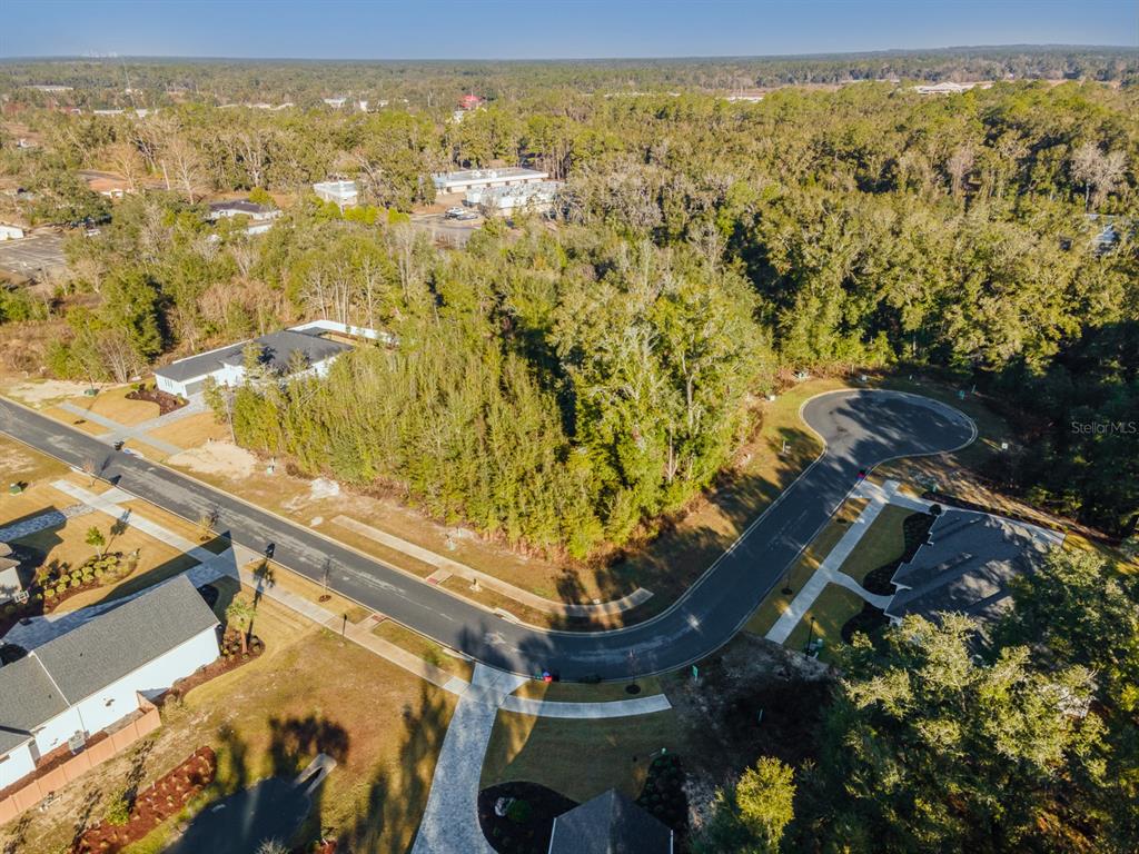 684 139th Court Newberry, FL 32669 - Photo 5 of 12