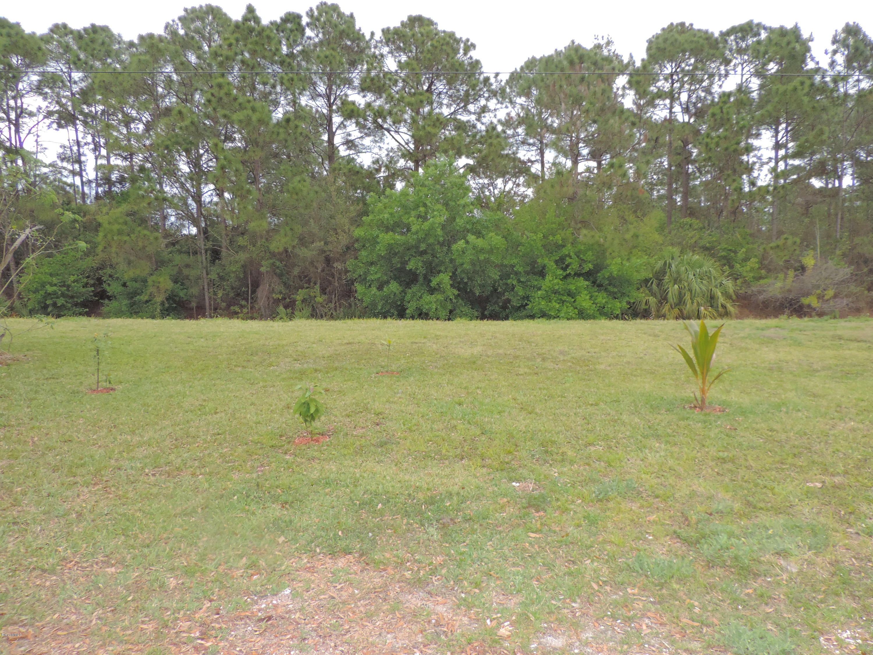 757 Furth Road Northwest Palm Bay, FL 32907 - Photo 43 of 46 DSCN8243