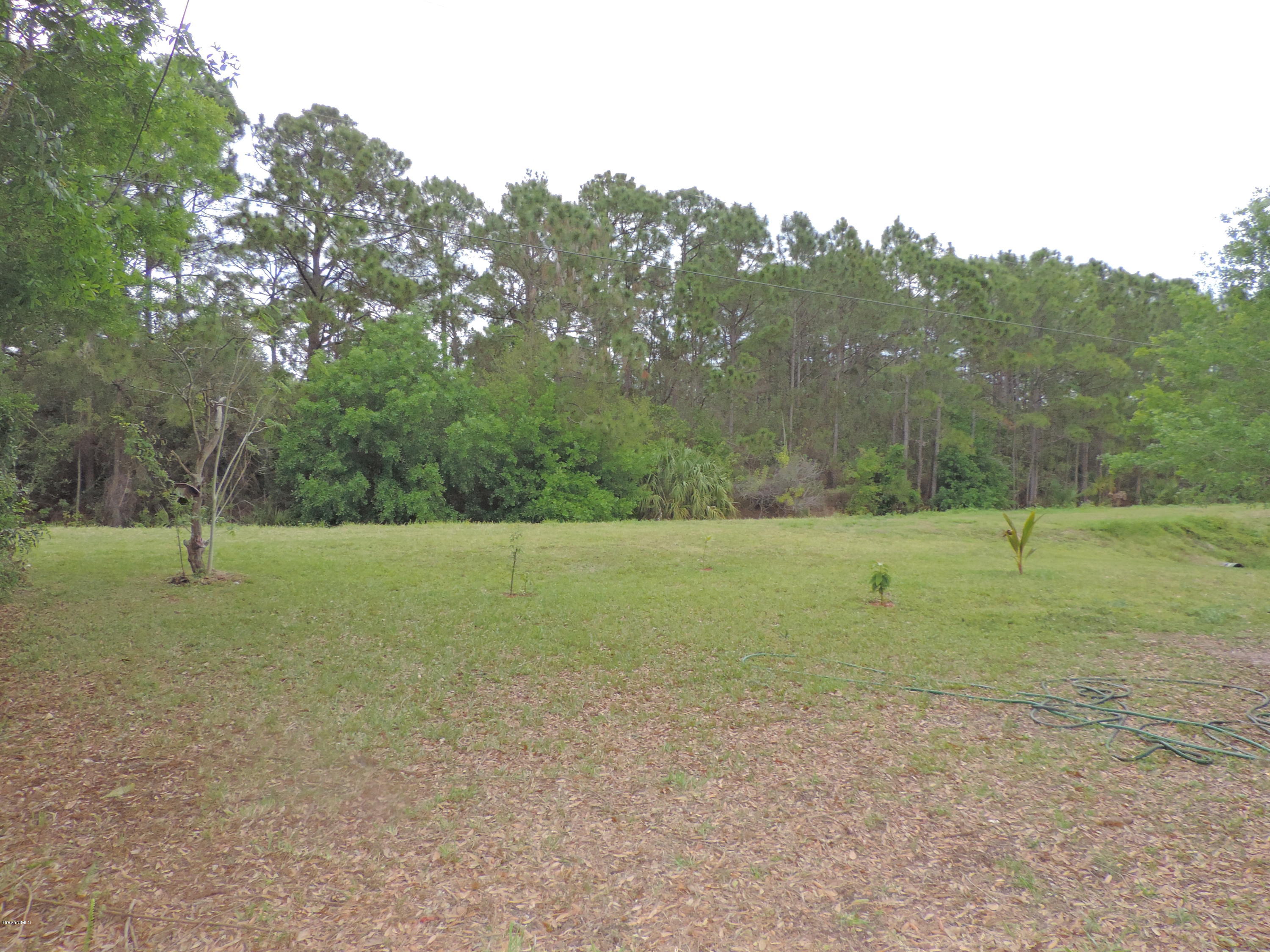 757 Furth Road Northwest Palm Bay, FL 32907 - Photo 44 of 46 DSCN8244