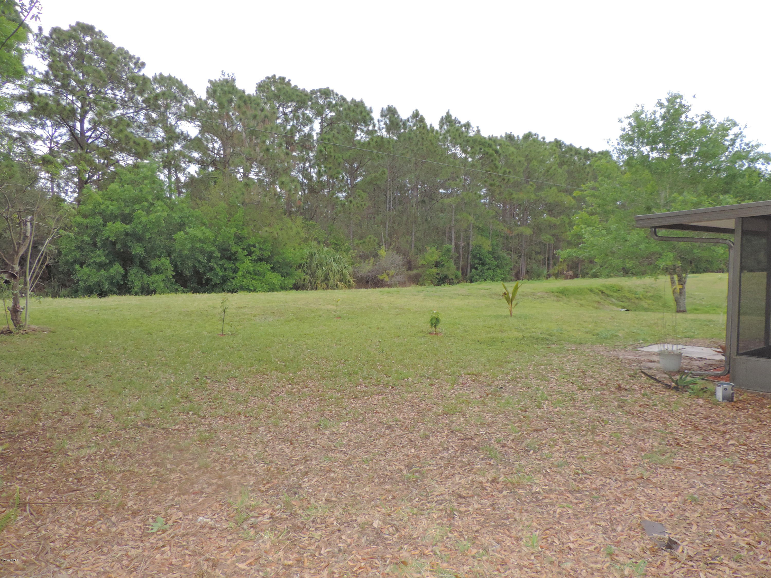 757 Furth Road Northwest Palm Bay, FL 32907 - Photo 45 of 46 DSCN8245