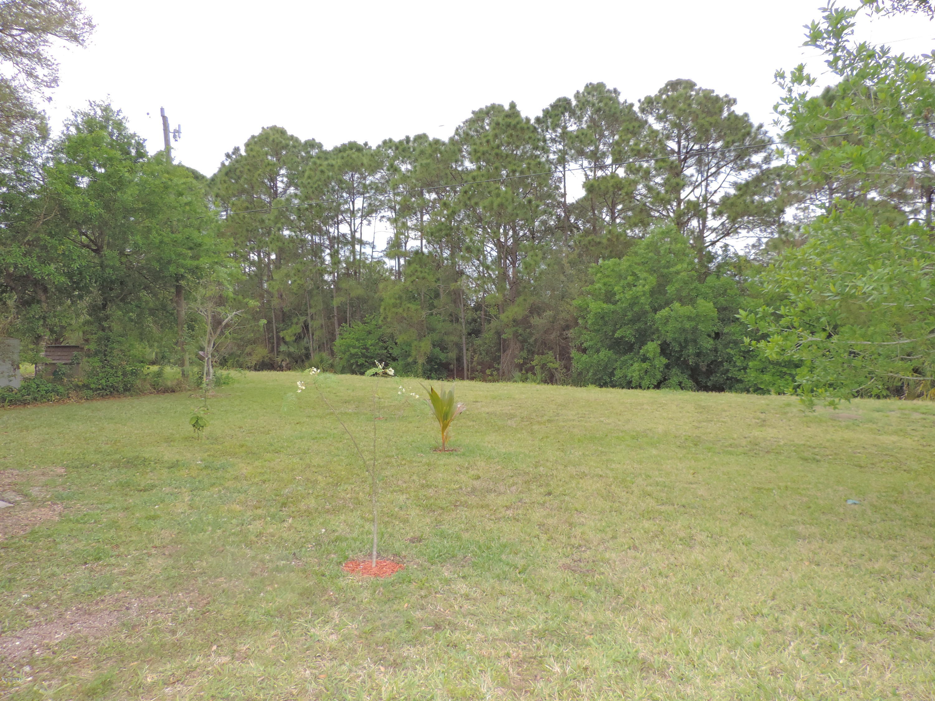 757 Furth Road Northwest Palm Bay, FL 32907 - Photo 46 of 46 DSCN8250