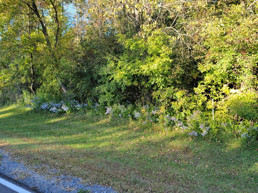 244 Perry Mills Road Champlain, NY 12919 - Photo 39 of 44 Gallery Image 39