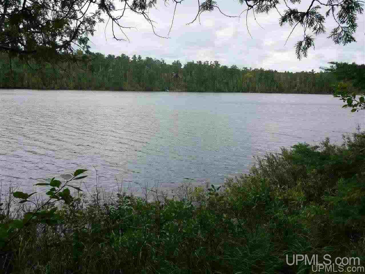 Lots 12-and 13 Lake Lily Road Mohawk, MI 49918 - Photo 12 of 27