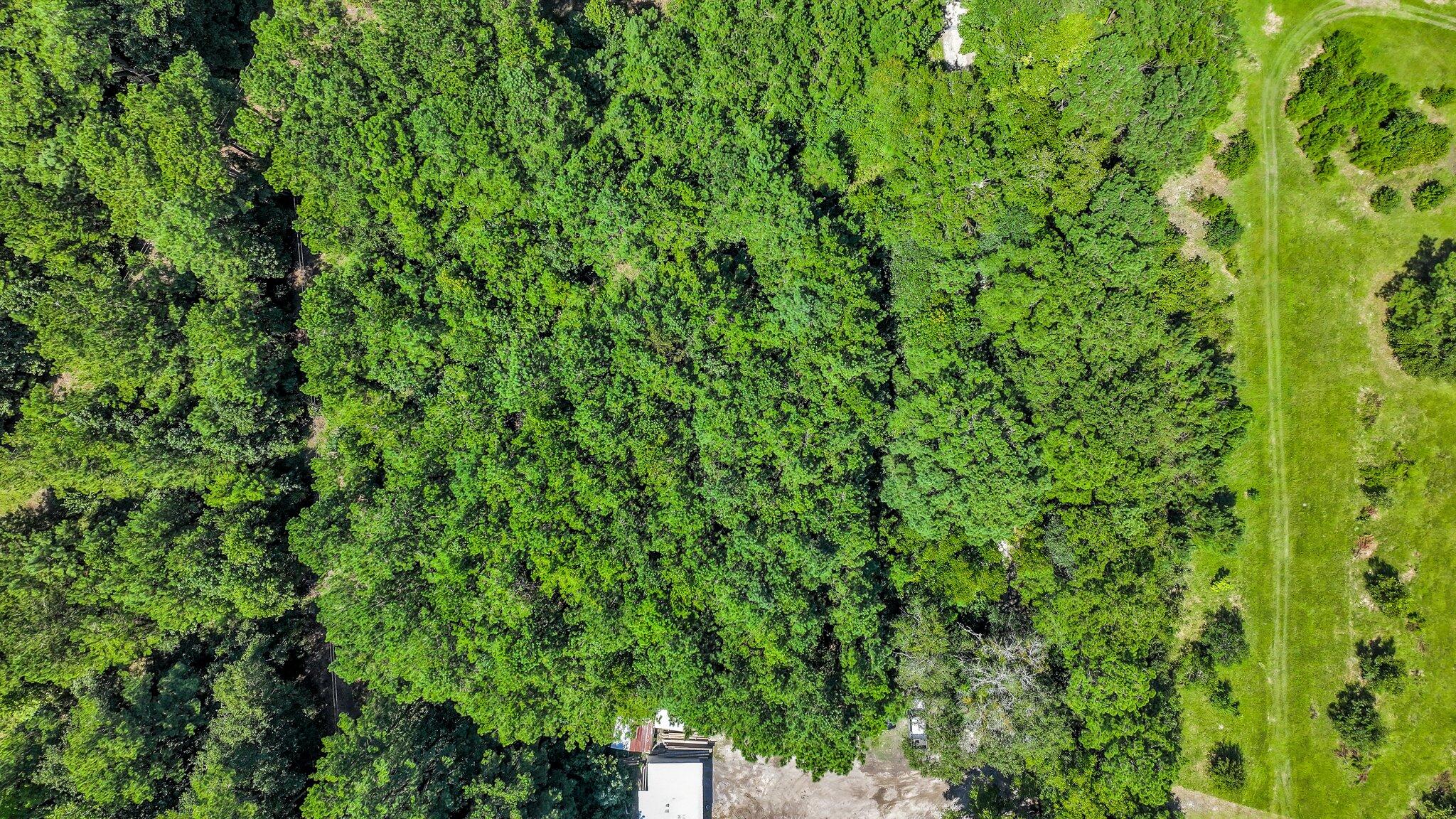 122 Bowers Lane Moncks Corner, SC 29461 - Photo 27 of 44 122 Bowers Lane