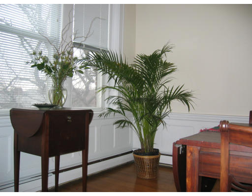 28 Addington Road, Unit 2 Brookline, MA 02445 - Photo 11 of 14 a potted plant sitting on top of a wooden table