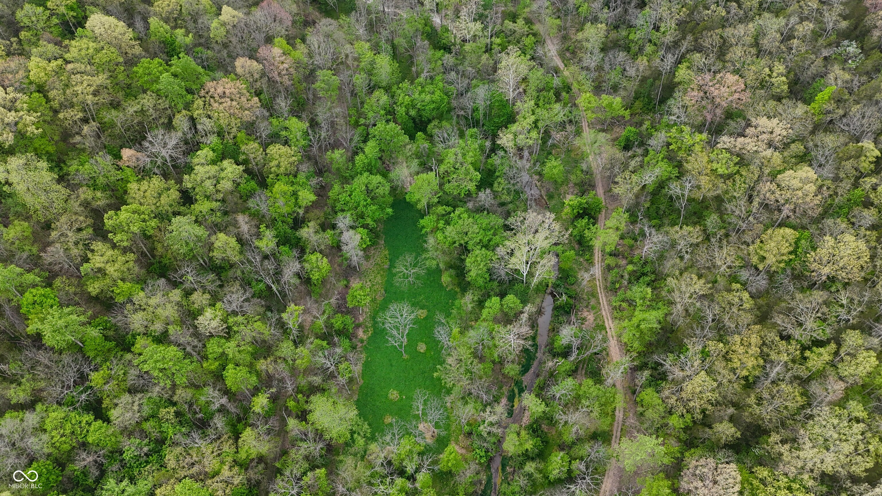 2933 Saluda Hl Road Hanover, IN 47243 - Photo 69 of 122