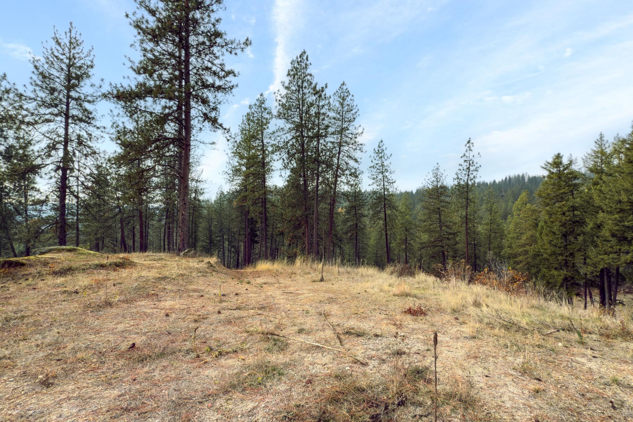 194-xx North Holcomb Road Mead, WA 99021 - Photo 11 of 11