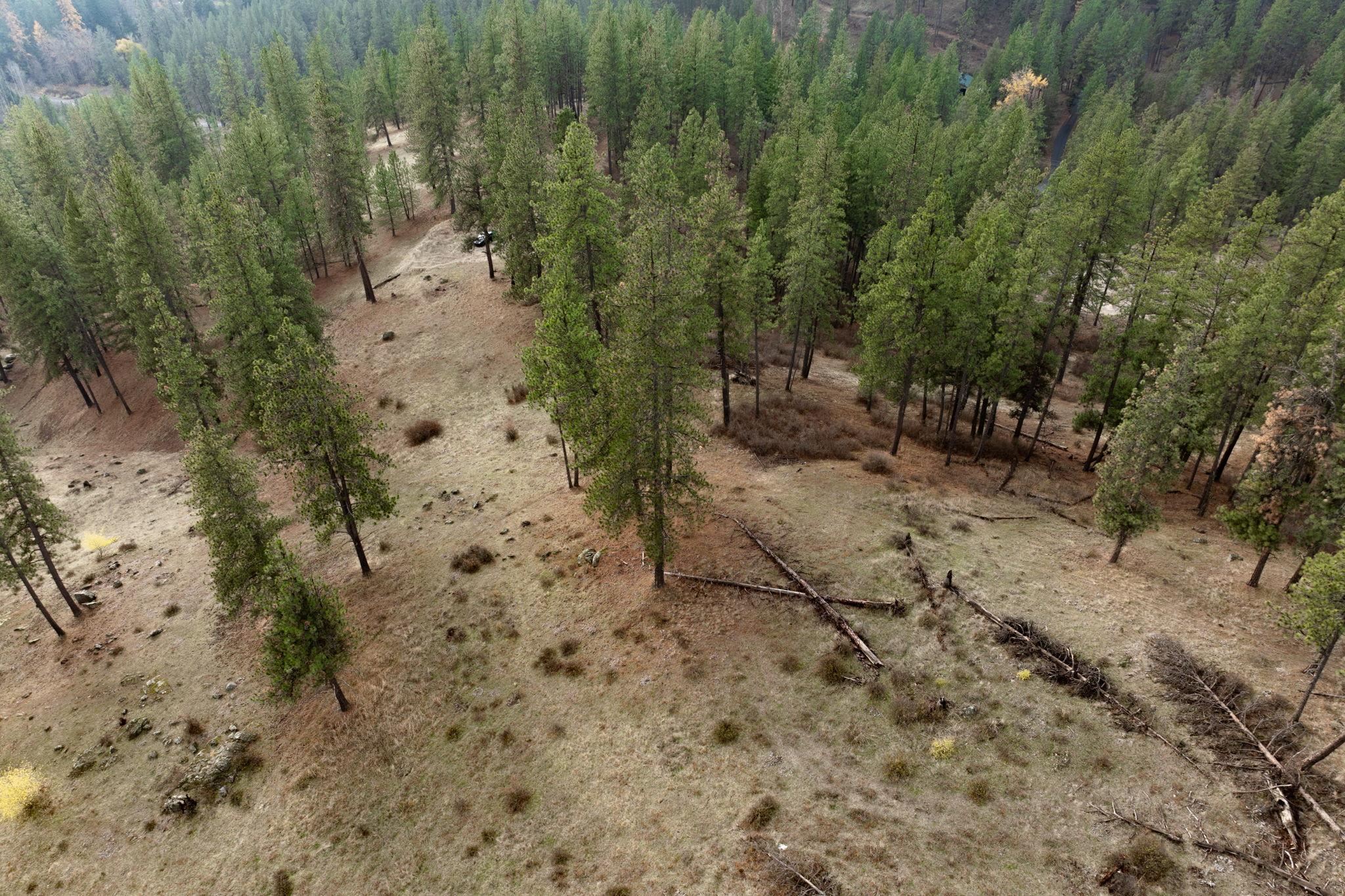 194-xx North Holcomb Road Mead, WA 99021 - Photo 3 of 11