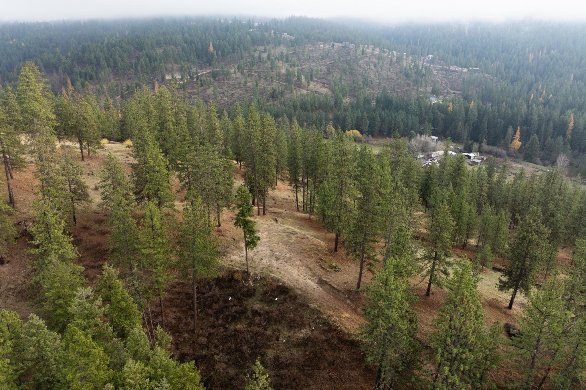 194-xx North Holcomb Road Mead, WA 99021 - Photo 4 of 11