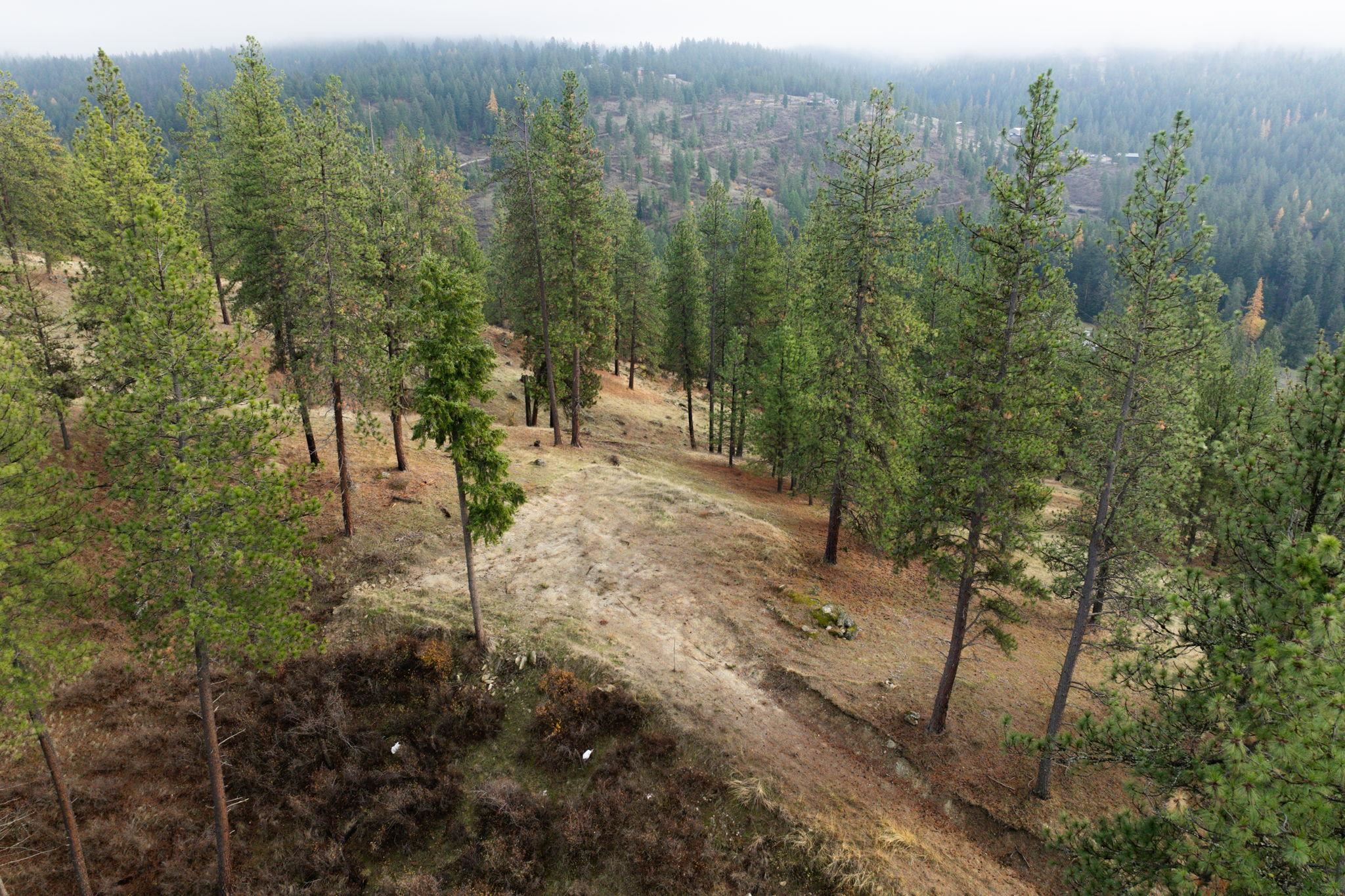 194-xx North Holcomb Road Mead, WA 99021 - Photo 5 of 11