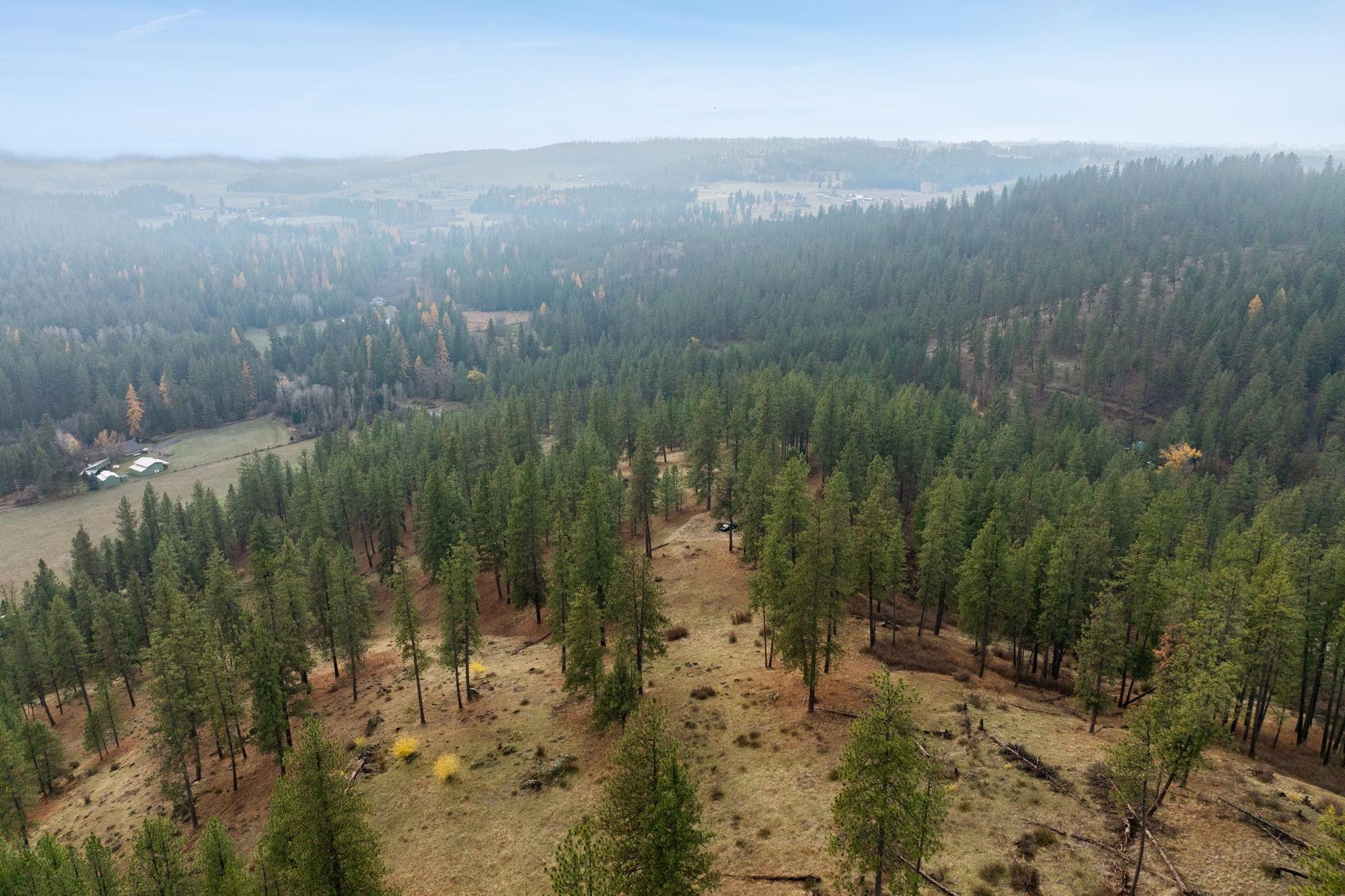 194-xx North Holcomb Road Mead, WA 99021 - Photo 7 of 11