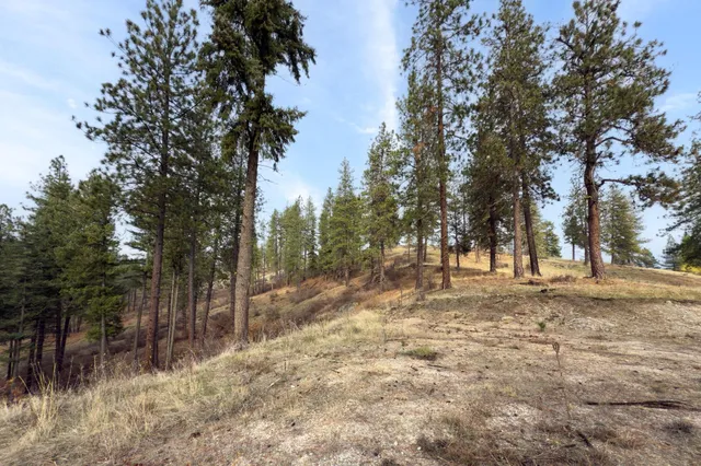 $150,000 | 194-xx North Holcomb Road, Mead, WA 99021