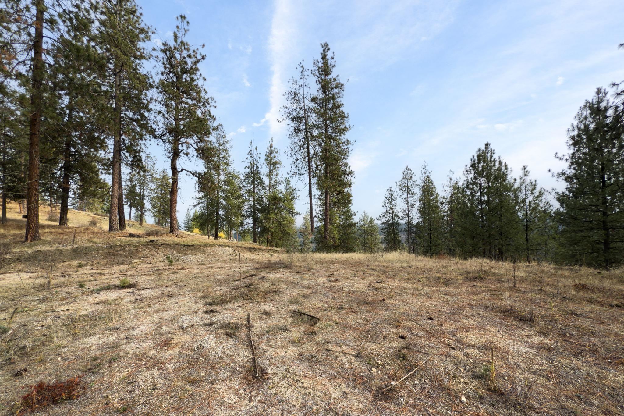 194-xx North Holcomb Road Mead, WA 99021 - Photo 10 of 11