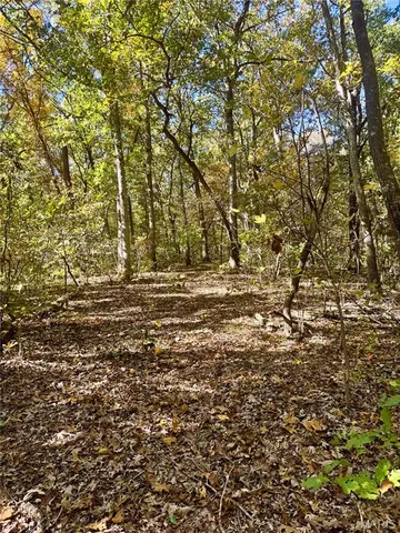 $361,000 | 0 Cedar Cir Lane, Silex, MO 63377