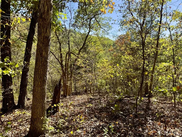 $361,000 | 0 Cedar Cir Lane, Silex, MO 63377