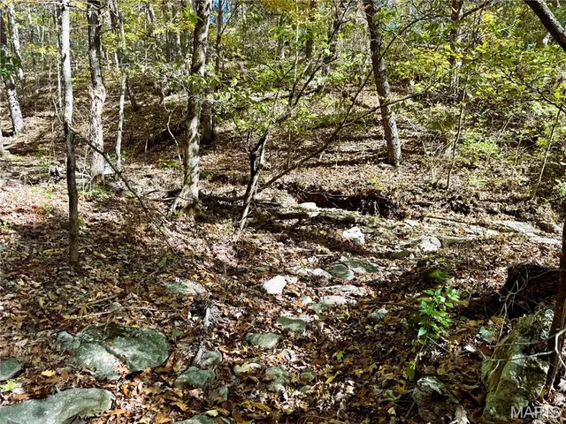 $361,000 | 0 Cedar Cir Lane, Silex, MO 63377