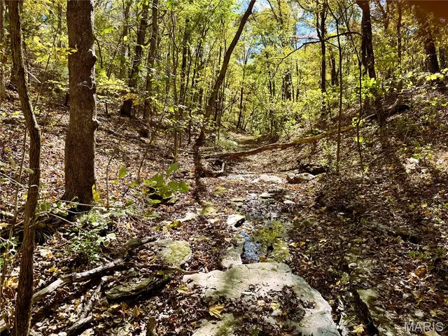 $361,000 | 0 Cedar Cir Lane, Silex, MO 63377