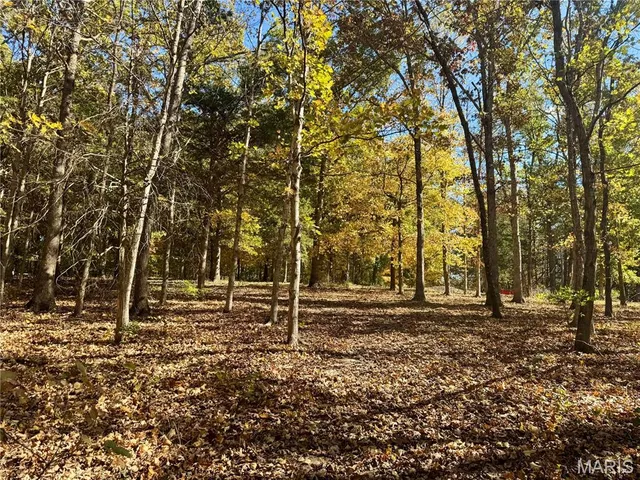 $361,000 | 0 Cedar Cir Lane, Silex, MO 63377