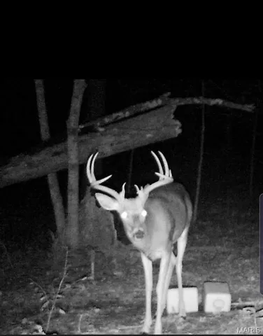 $361,000 | 0 Cedar Cir Lane, Silex, MO 63377