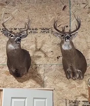 $361,000 | 0 Cedar Cir Lane, Silex, MO 63377