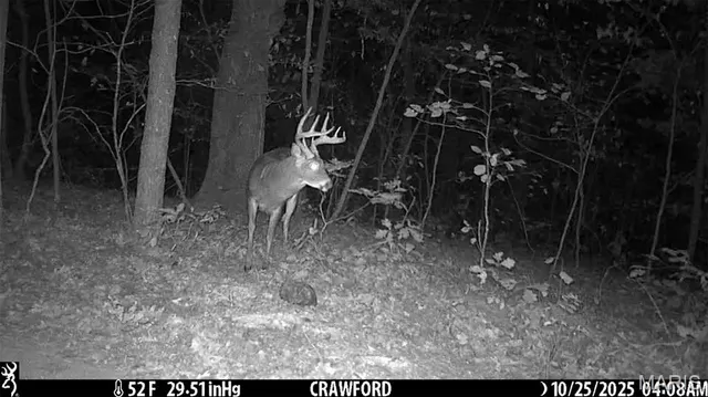 $361,000 | 0 Cedar Cir Lane, Silex, MO 63377