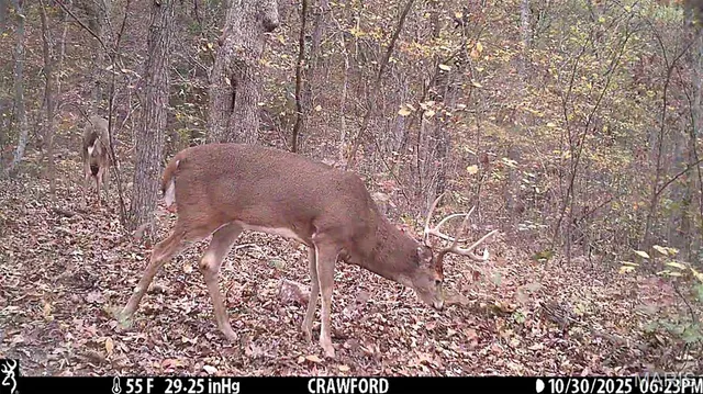 $361,000 | 0 Cedar Cir Lane, Silex, MO 63377