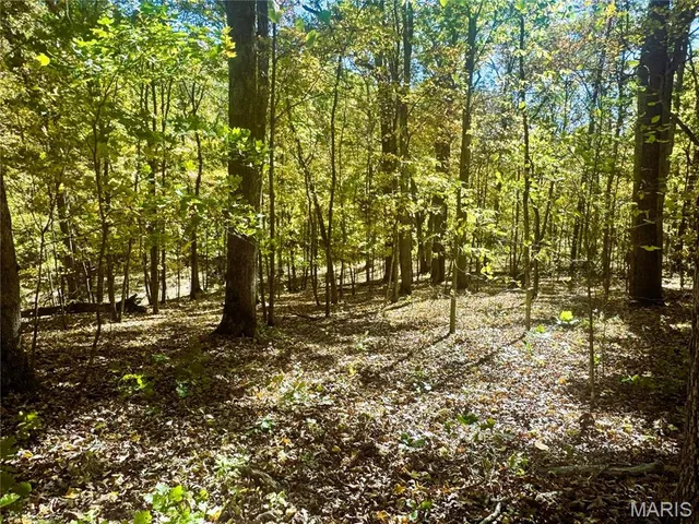 $361,000 | 0 Cedar Cir Lane, Silex, MO 63377