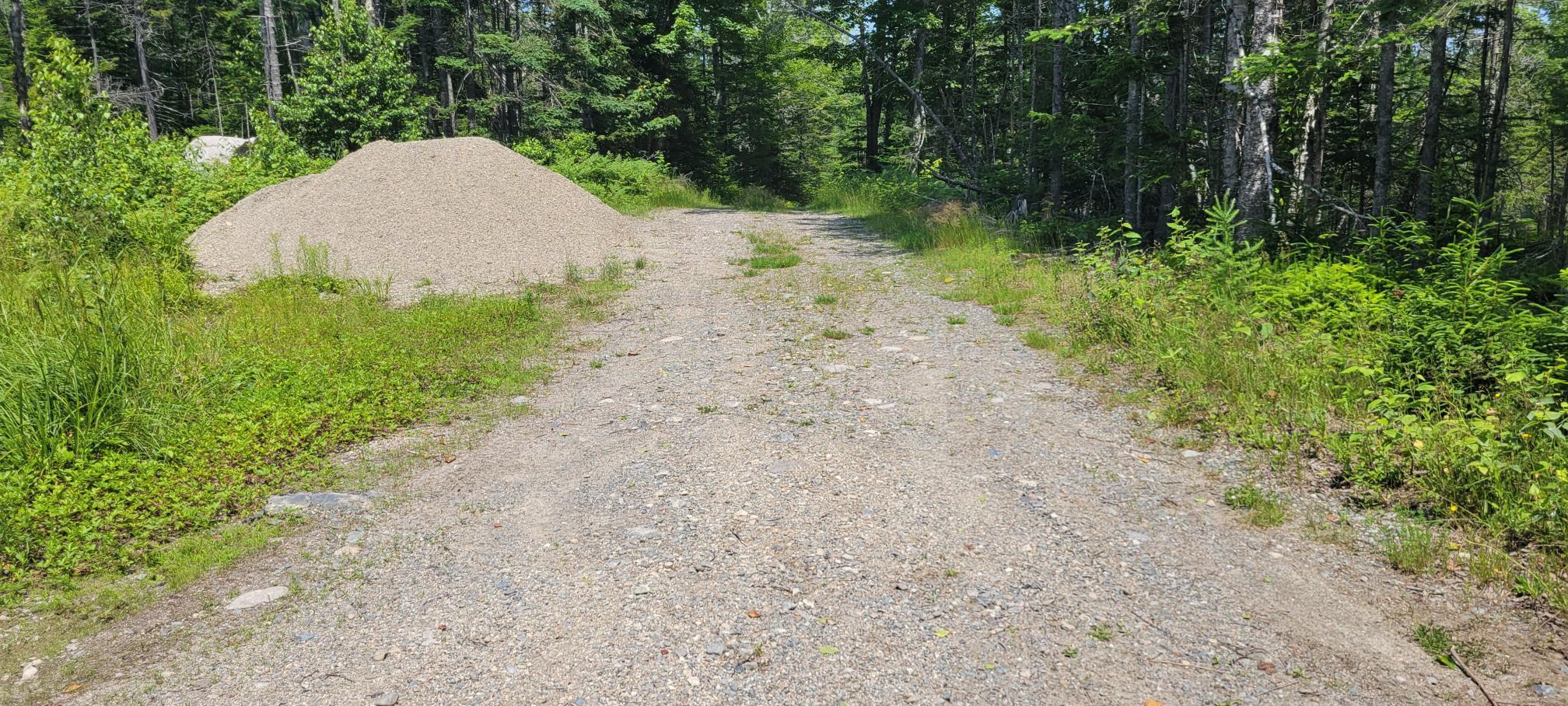 Lot 84 Duck Cove Road Roque Bluffs, ME 04654 - Photo 15 of 24 20230712_131931