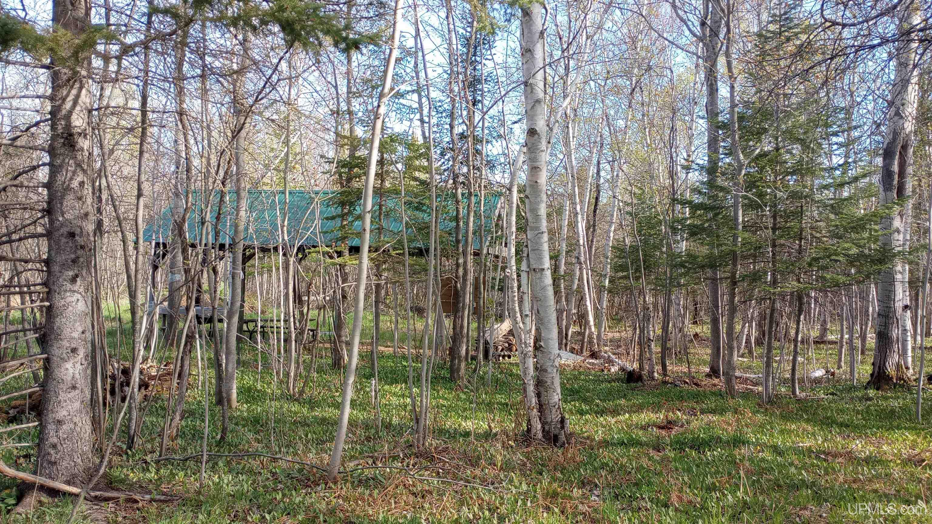 22164 East Webb Road Grand Marais, MI 49839 - Photo 6 of 16 Gallery Image 6
