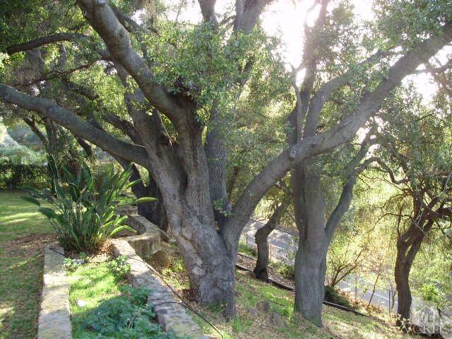 1686 South Rice Road Ojai, CA 93023 - Photo 27 of 28 Additional Photo