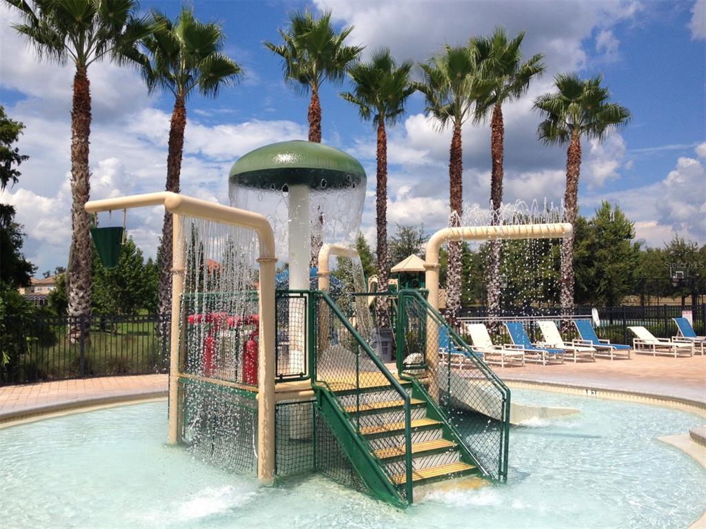 11918 Castine Street New Port Richey, FL 34654 - Photo 59 of 74