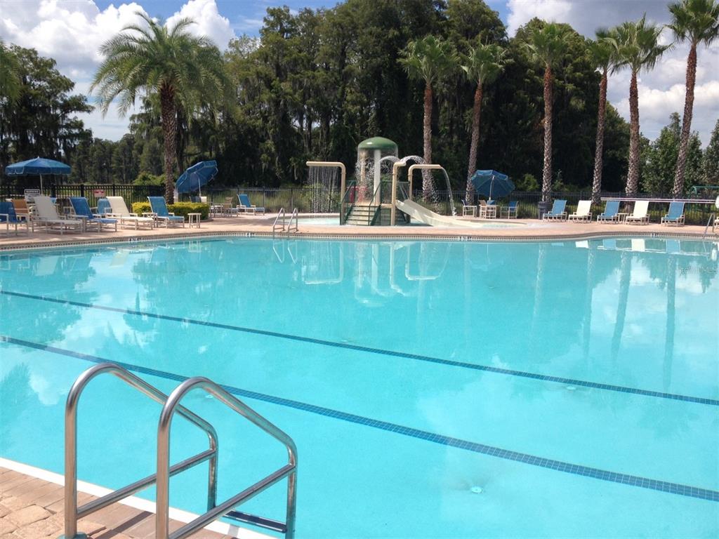 11918 Castine Street New Port Richey, FL 34654 - Photo 61 of 74