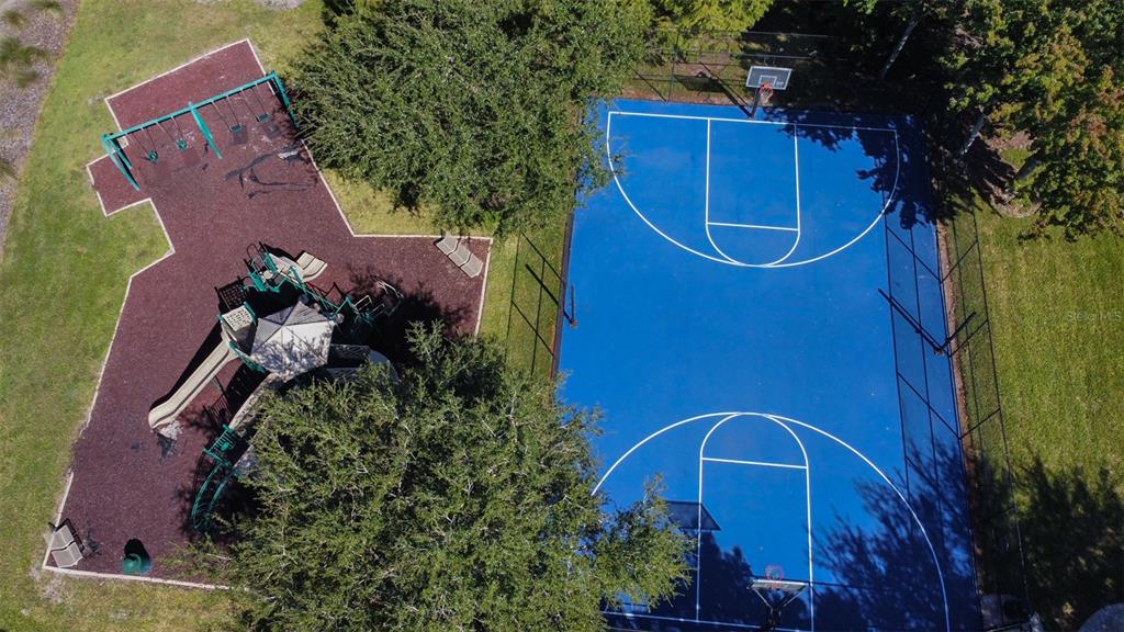 11918 Castine Street New Port Richey, FL 34654 - Photo 63 of 74