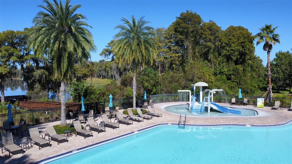 11918 Castine Street New Port Richey, FL 34654 - Photo 65 of 74