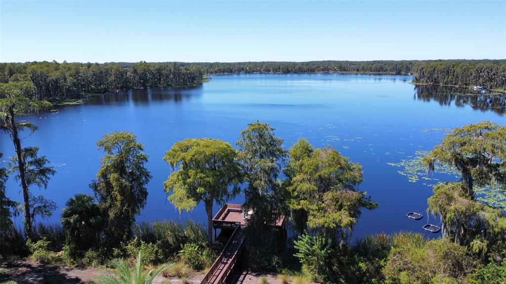 11918 Castine Street New Port Richey, FL 34654 - Photo 70 of 74