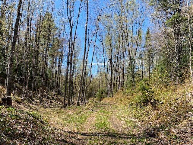 0 North Maple Block Road Paradise, MI 49768 - Photo 2 of 11 Gallery Image 2