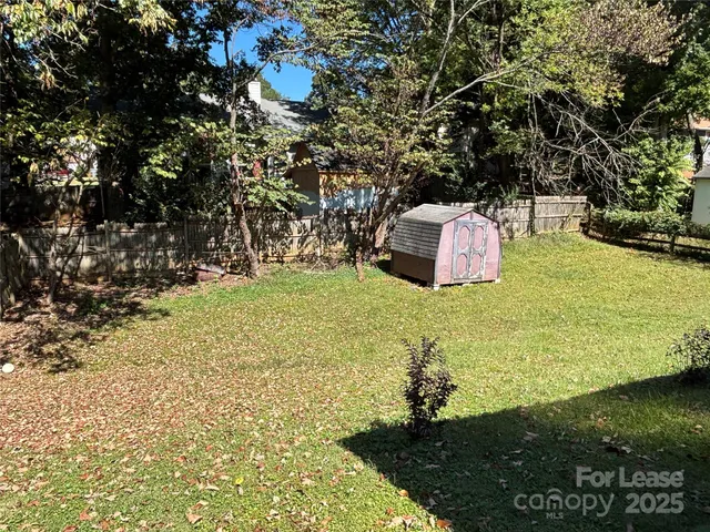 a view of a trees with yard