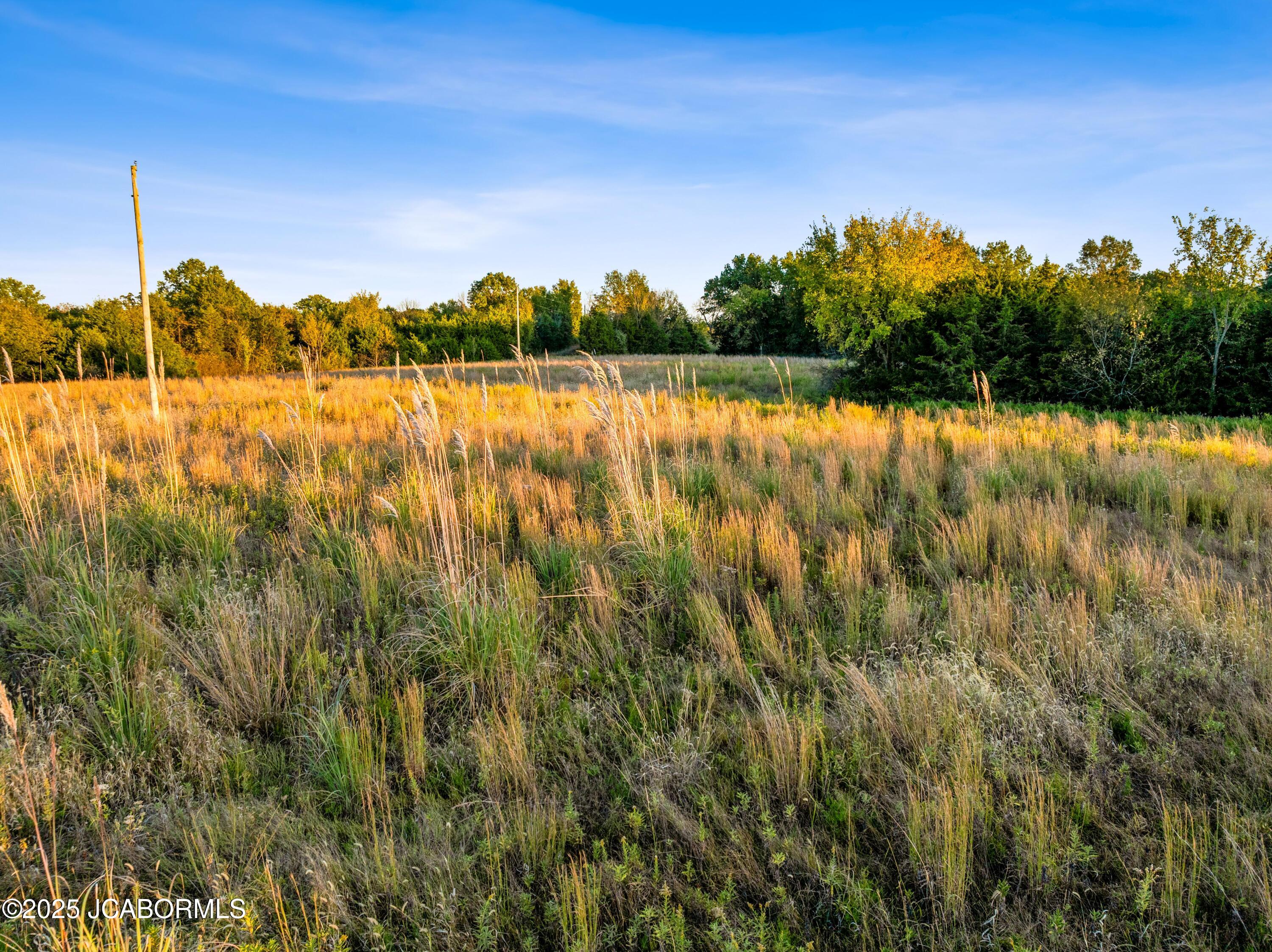 0 Callaway County Road Auxvasse, MO 65231 - Photo 6 of 16