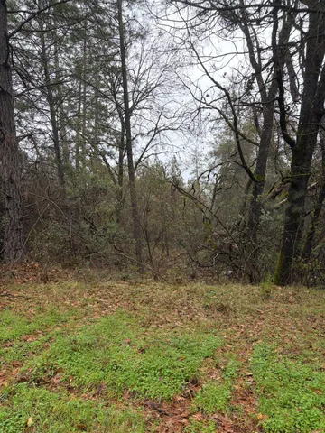 $300,000 | 13733 Camino De Lego, Auburn, CA 95602