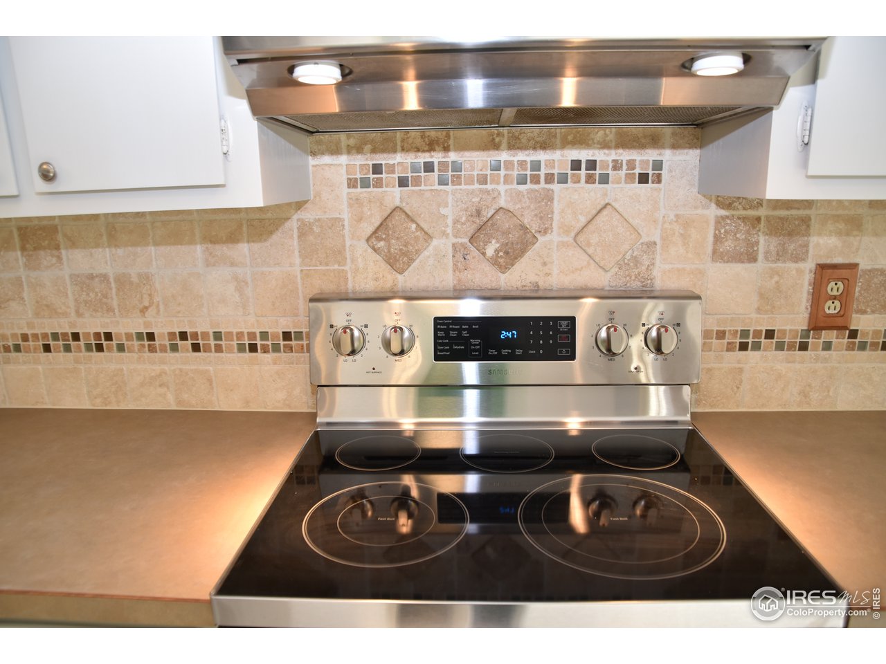 1305 Cypress Drive Fort Collins, CO 80521 - Photo 11 of 28