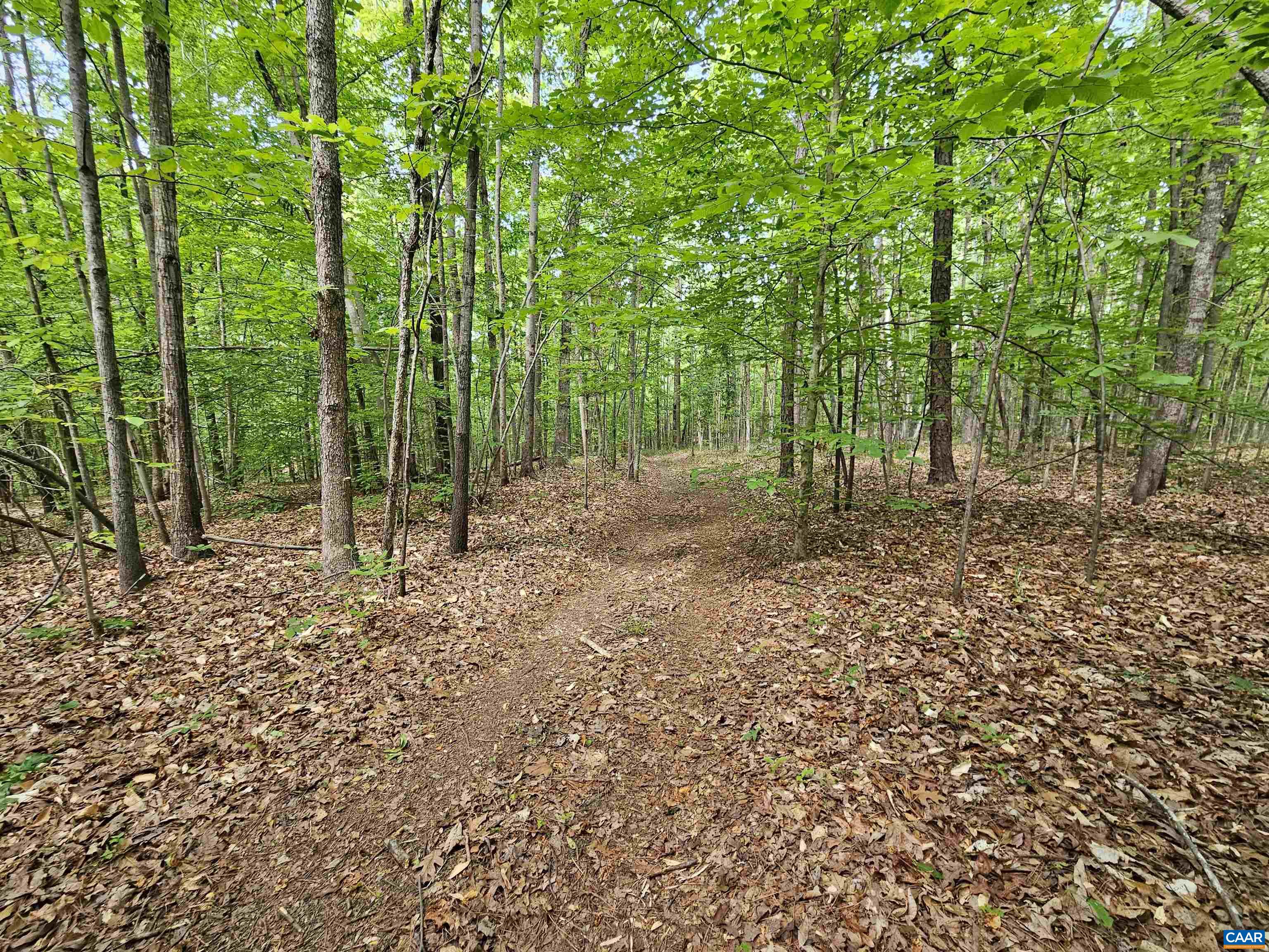 981 Scotts Bottom Road Dillwyn, VA 23936 - Photo 50 of 62 a view of outdoor space with deck and tree