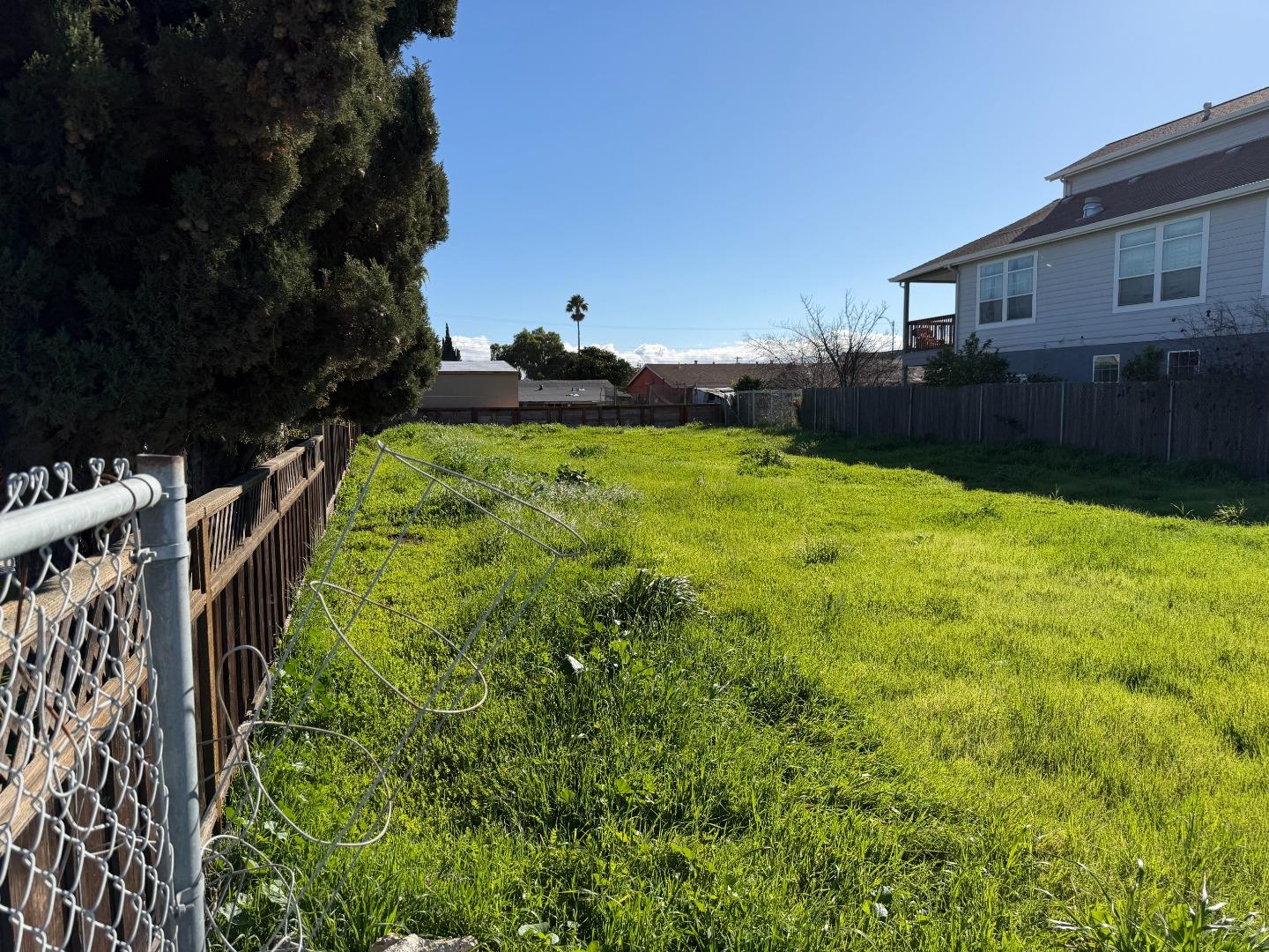 1553 State Street Alviso, CA 95002 - Photo 5 of 6 a backyard of a house with lots of green space