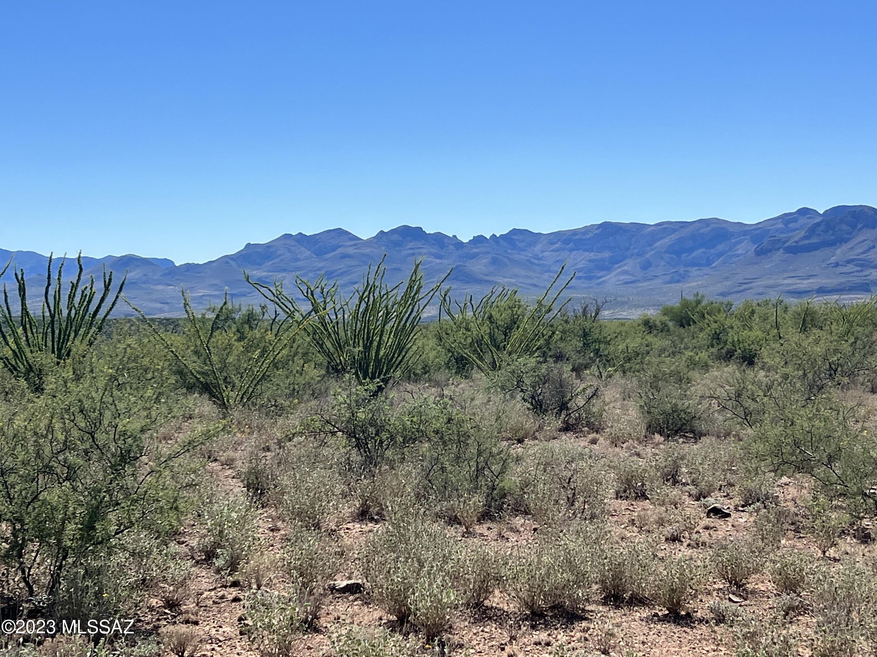 Tbd Camino Nacozari, Unit 71 Rio Rico, AZ 85648 - Photo 12 of 19 Amazing Lot