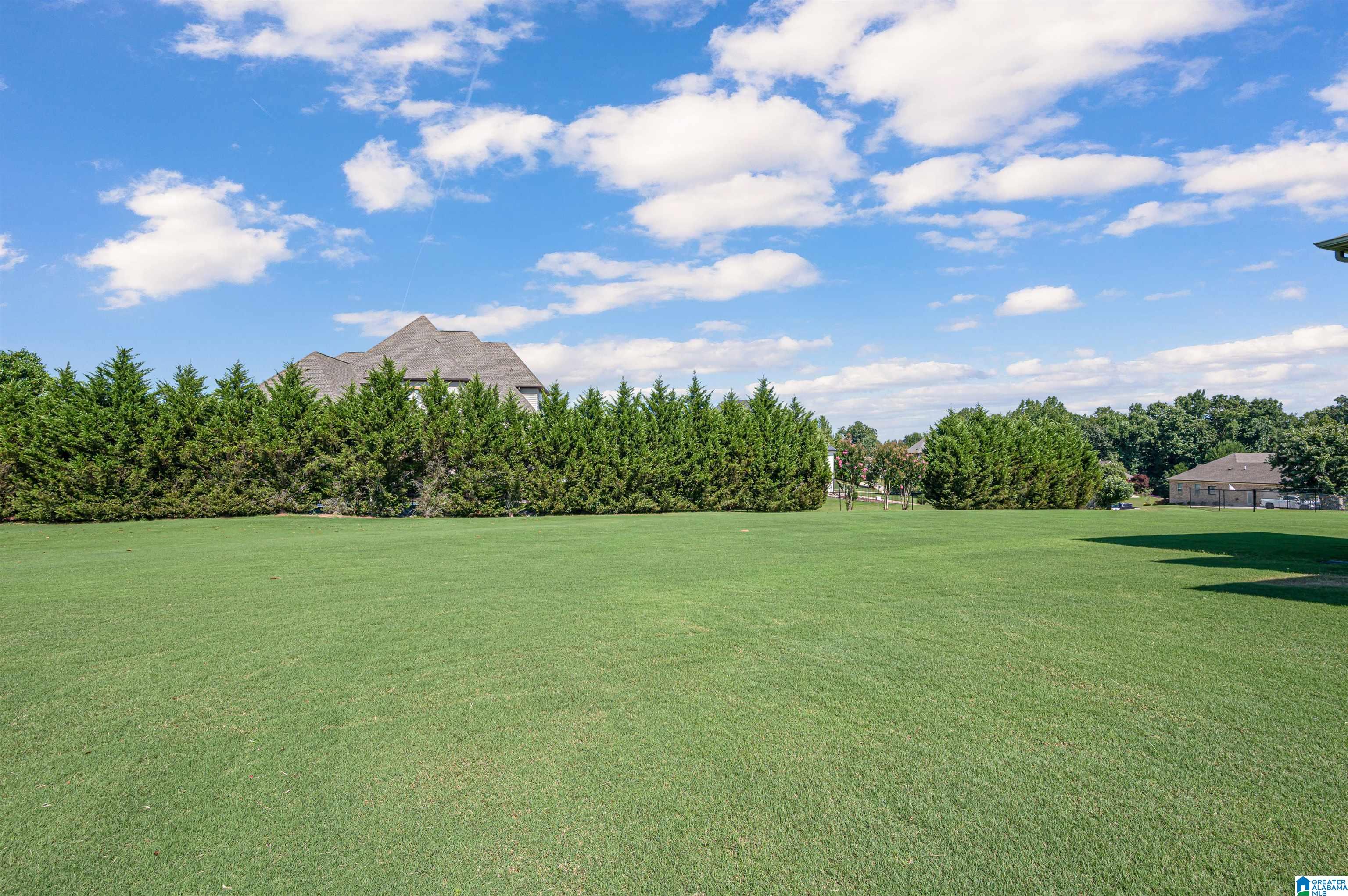 7972 Overbrook Parkway Morris, AL 35116 - Photo 40 of 47
