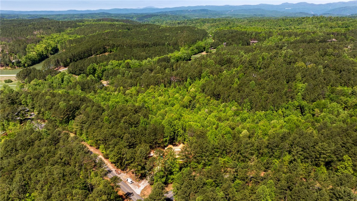 100 Northington Court Sunset, SC 29685 - Photo 4 of 7