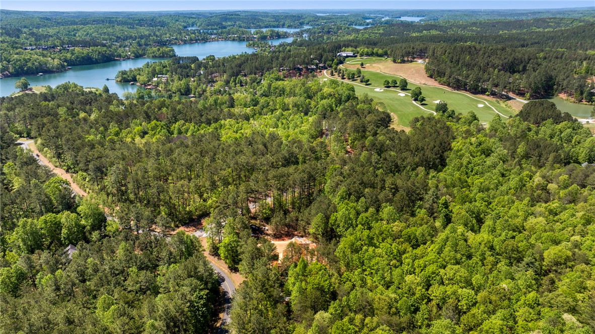 100 Northington Court Sunset, SC 29685 - Photo 5 of 7