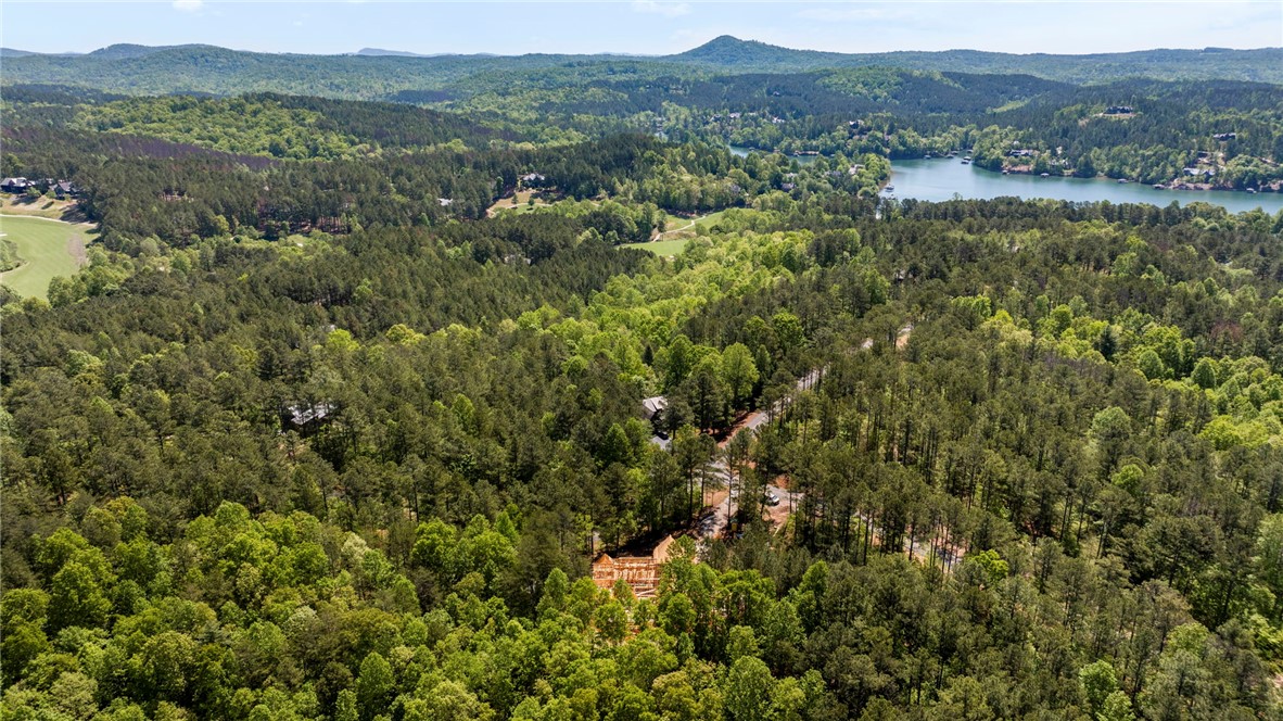 100 Northington Court Sunset, SC 29685 - Photo 6 of 7