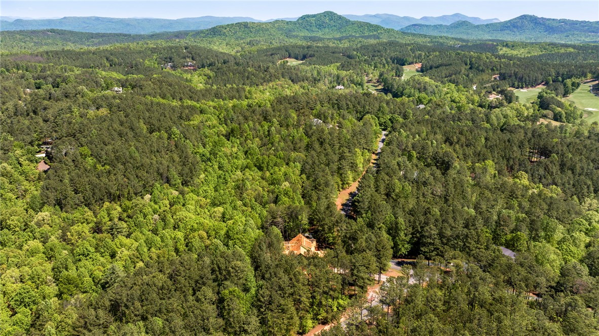 100 Northington Court Sunset, SC 29685 - Photo 7 of 7