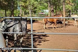 40 South Falling Leaf Road Show Low, AZ 85901 - Photo 18 of 22 Gallery Image 18